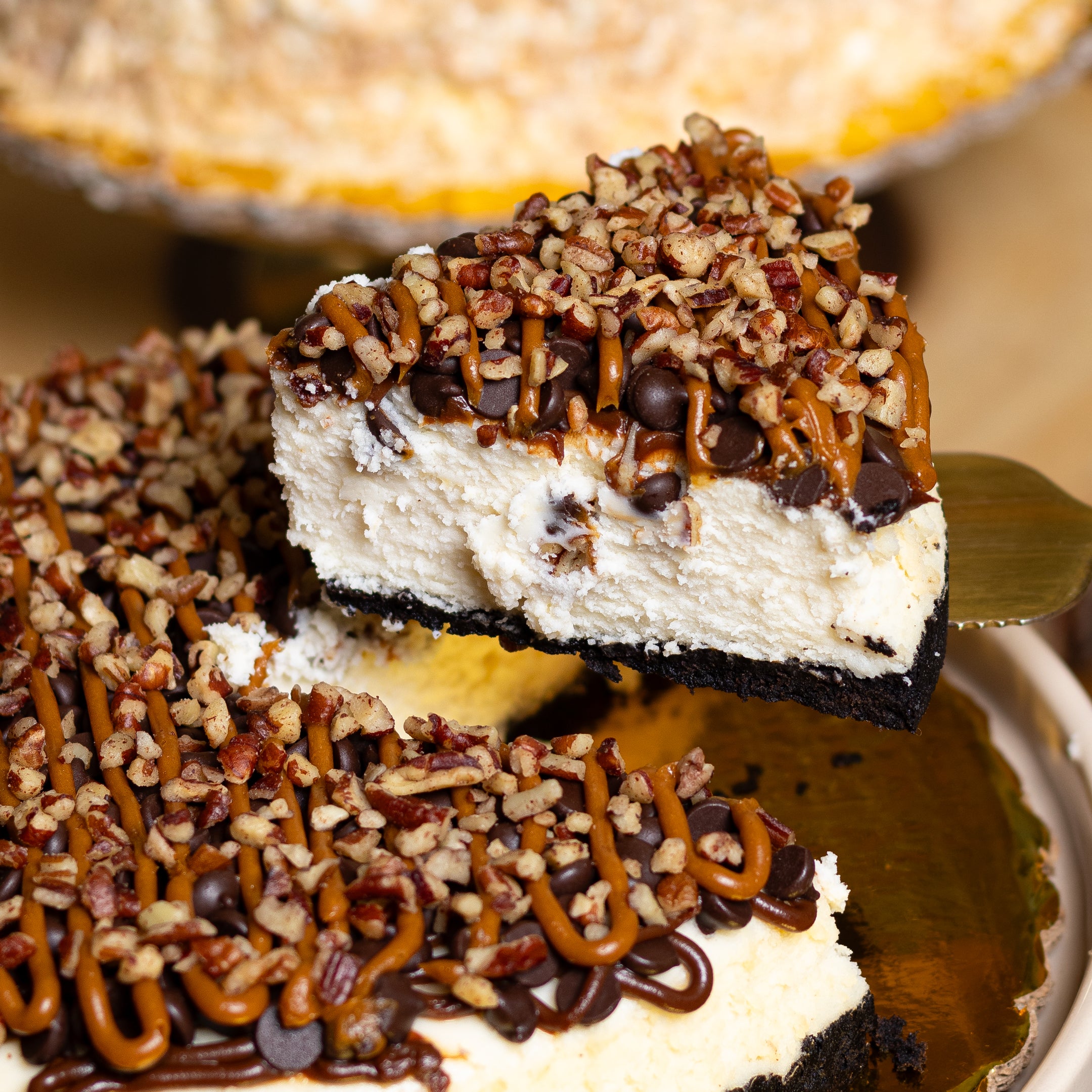 CHEESECAKE TORTUGA
